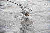 20120607_ (170)